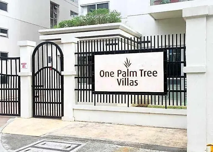 One Palm Tree Short Walk Via Runway Naia T3 Манила
