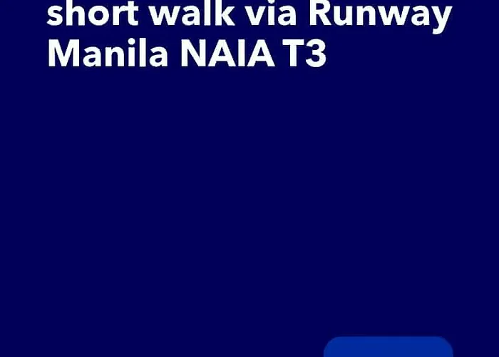 One Palm Tree Short Walk Via Runway Naia T3